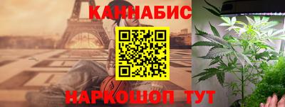 винт Тара