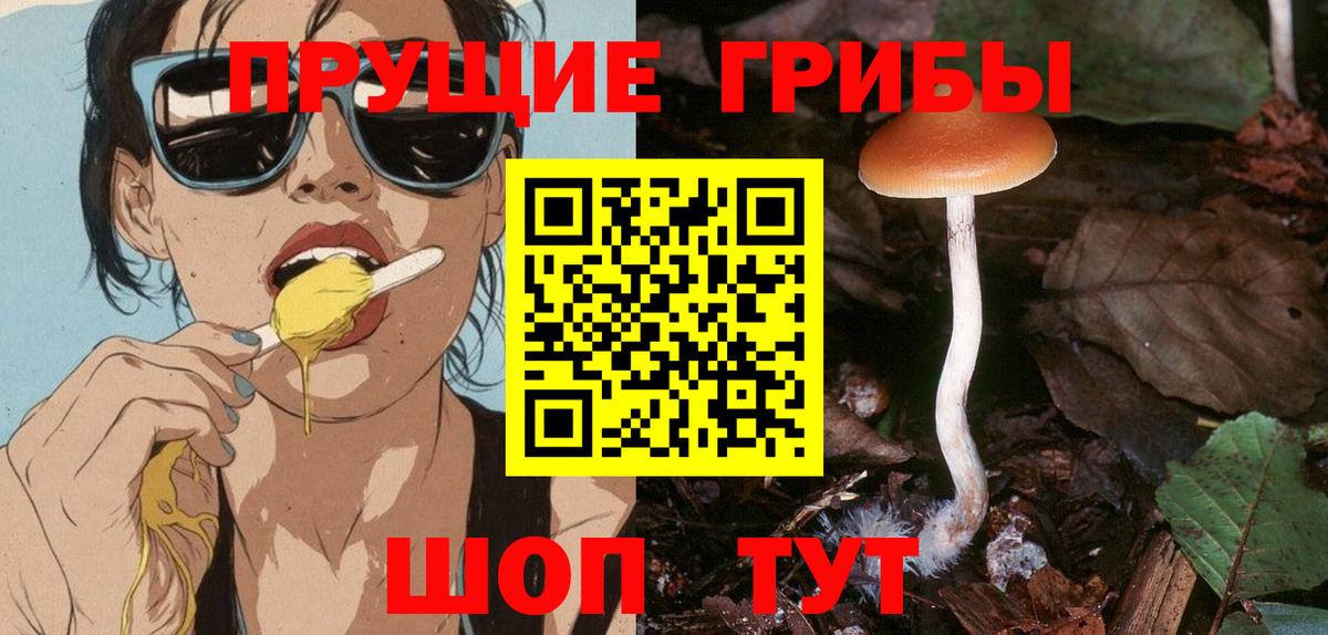 Галлюциногенные грибы Magic Shrooms Обнинск