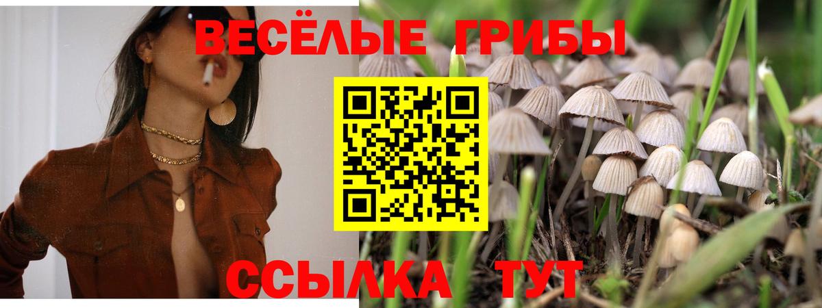 Галлюциногенные грибы MAGIC MUSHROOMS  Галлюциногенные грибы MAGIC MUSHROOMS  Вход с VPN  Обнинск 